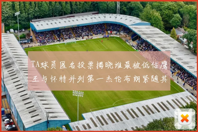 TA球员匿名投票揭晓谁最被低估鹰王与怀特并列第一杰伦布朗紧随其后